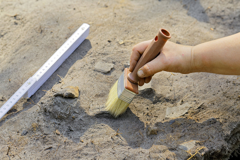 Вчених шокувала несподівана знахідка в могилі середньовічного ченця біля берегів Нормандії